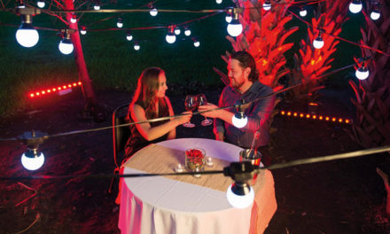 GUIRLANDE IP CHEZ CHAUVET DJ