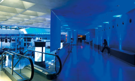 LE WELL FIT DE CHAUVET PROFESSIONAL CHOISI PAR MSL AU LOUVRE