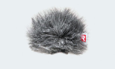 MINI-WINDJAMMERS DE RYCOTE