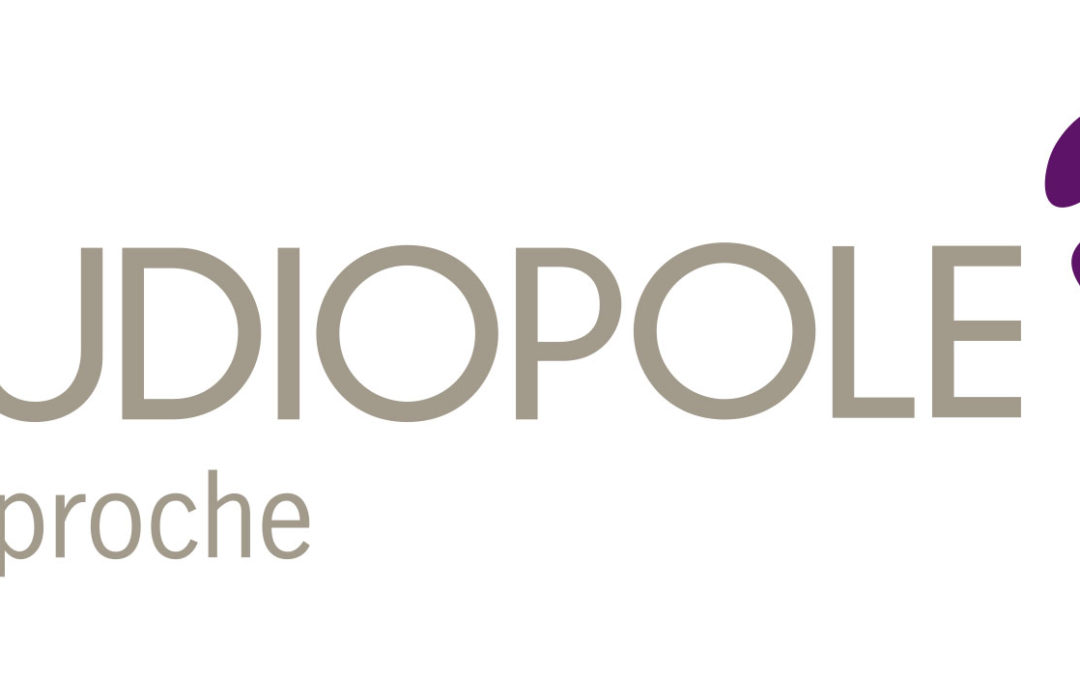 Audiopole recrute un directeur commercial (H/F)