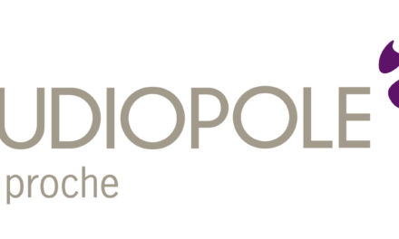 Audiopole recrute un directeur commercial (H/F)