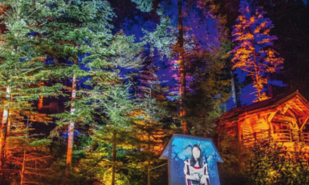 LE SENTIER DES LUMIÈRES