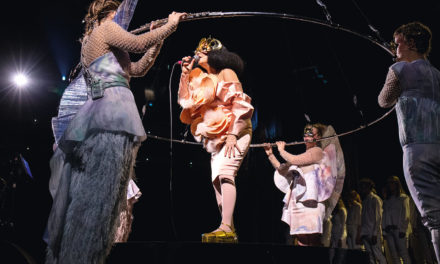d&Björk