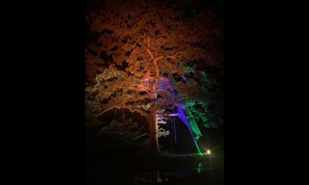 Starway illumine la nature