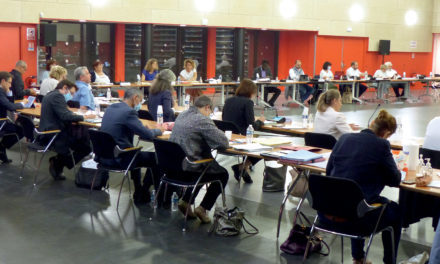 Conseils municipaux