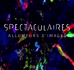 Spectaculaires