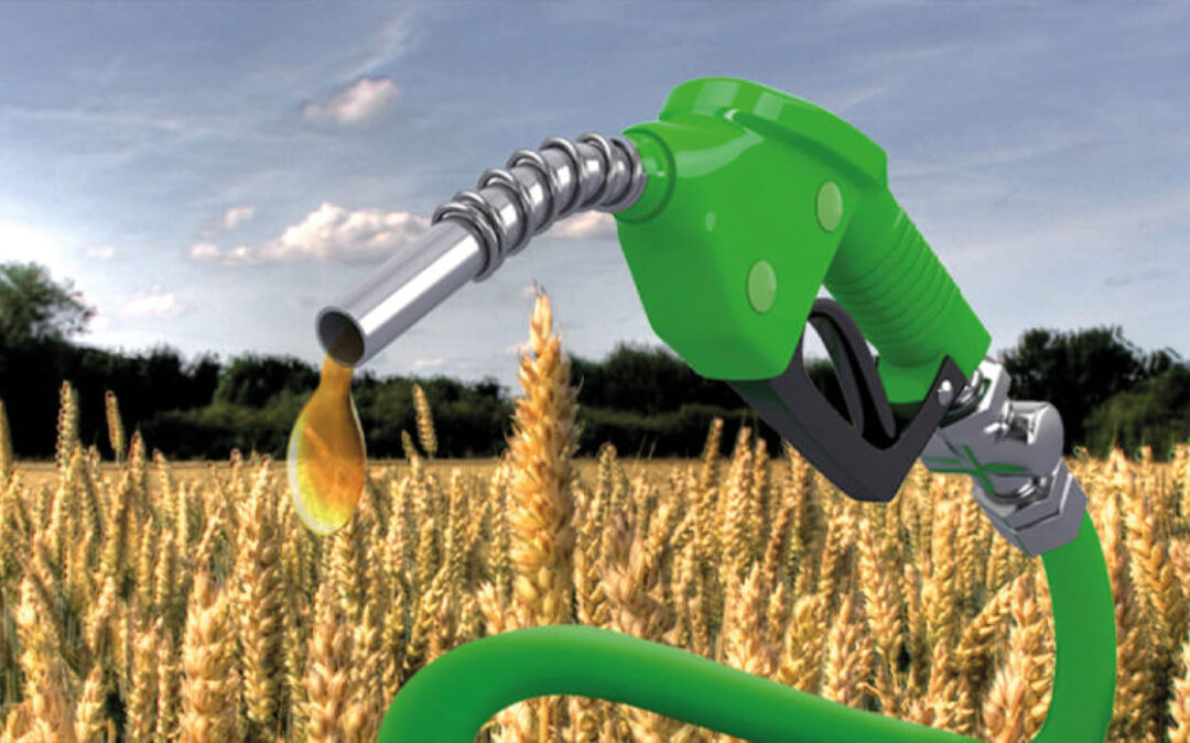 Dossier énergies : Biocarburants