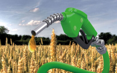 Dossier énergies : Biocarburants