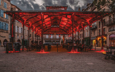 Anolis à la Halle de Figeac