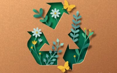 Comment faire sa transition écologique ?