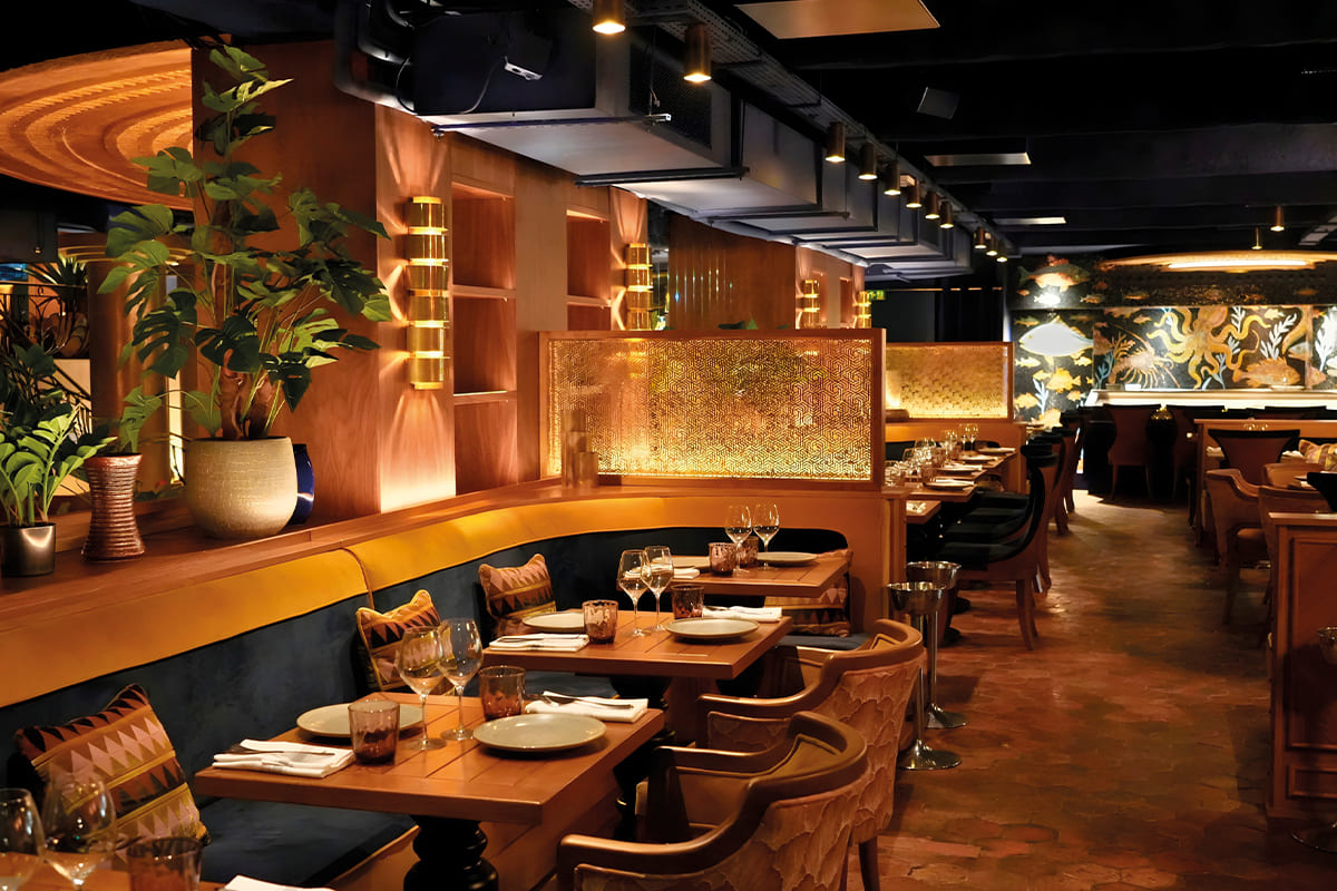 407 sonomag news nexo Resto Manko 407 sonomag news nexo Resto Manko