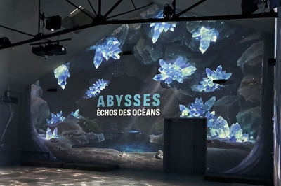Installation immersive Meyer à Lille